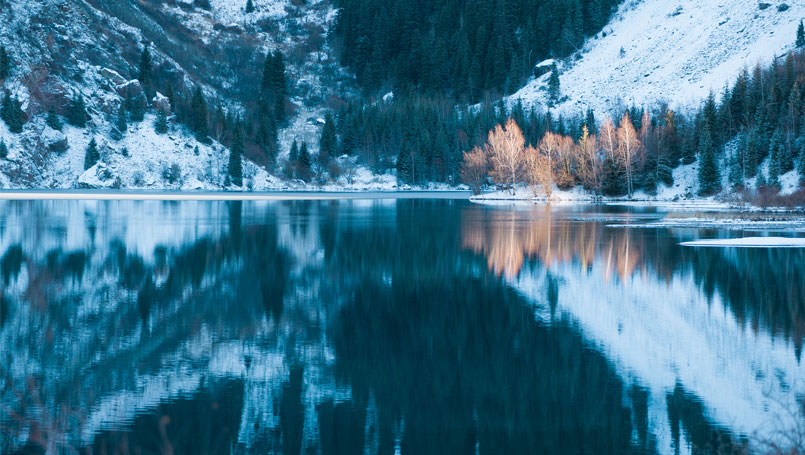 Birchlight-Energy-blog-looking-within-new-year-transition-reflection-805x455